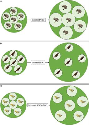 How to Become a Generalist Species? Individual Niche Variation Across Habitat Transformation Gradients